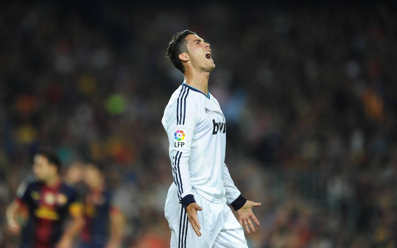 正如职业牌 正如职业牌